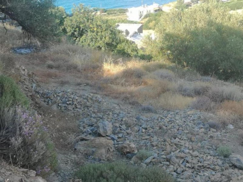 Mochlos Kreta, Mochlos: Baugrundstück mit Meerblick zu verkaufen Grundstück kaufen